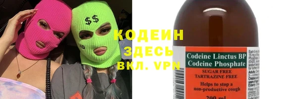 индика Нязепетровск