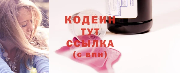 СК Няндома